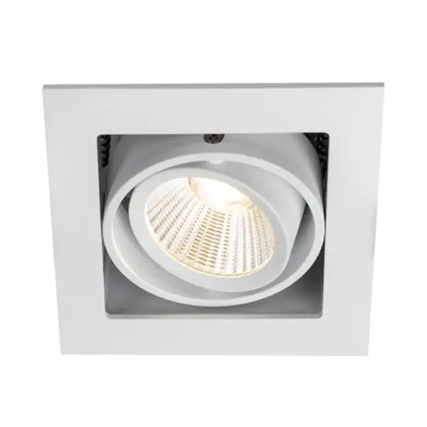 Downlight Fynd